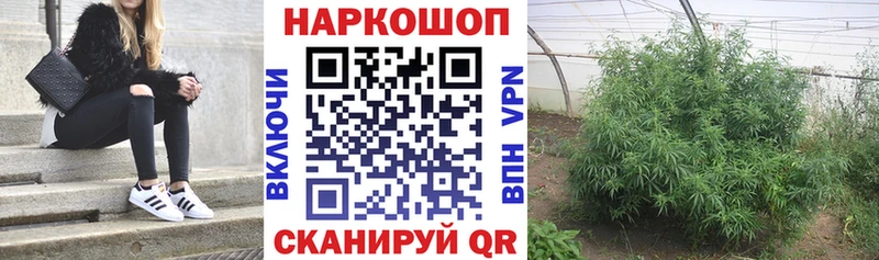 Наркота Новоалександровск Codein  Псилоцибиновые грибы  Канабис  ГАШИШ  Alpha-PVP 