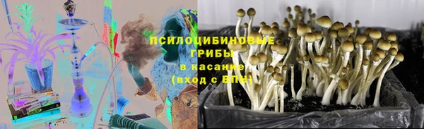 амф Абдулино