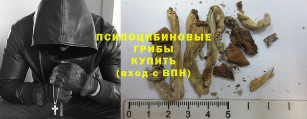 амф Абдулино
